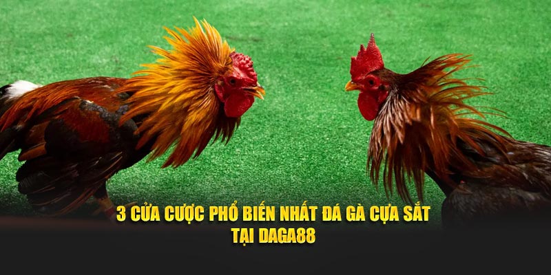 3 cửa cược đá gà phổ biến nhất tại Daga88