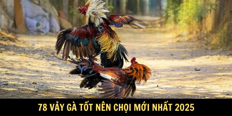 Tổng hợp 78 vảy gà tốt nên chọi mới nhất