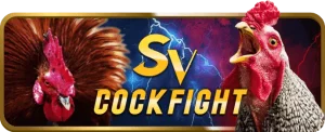 Daga88 Cockfight