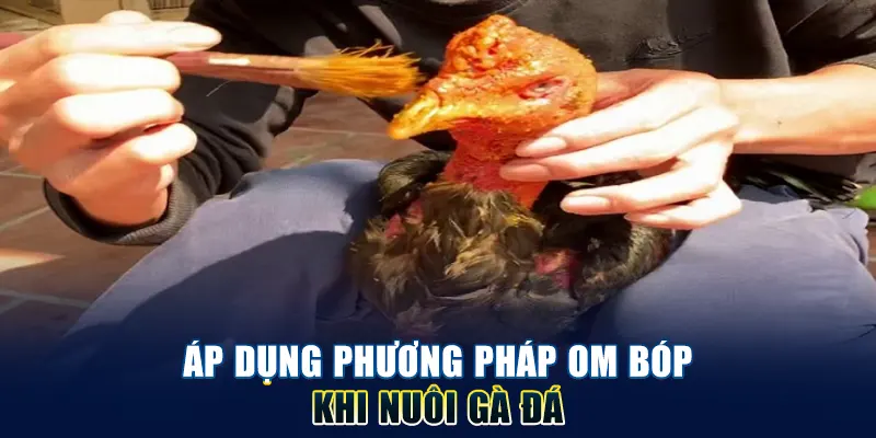 Áp dụng phương pháp om bóp từ Daga88
