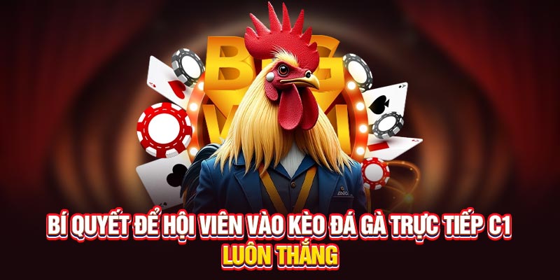 Bí quyết chơi đá gà trực tiếp C1 luôn thắng