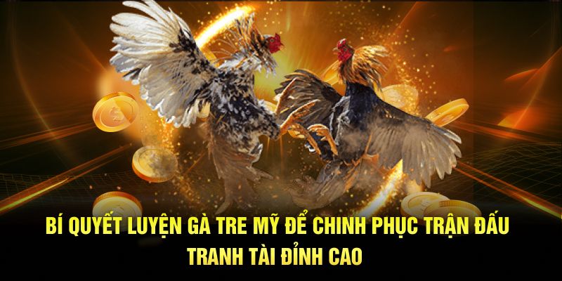 Bí quyết luyện gà tre Mỹ chinh phục trận đấu