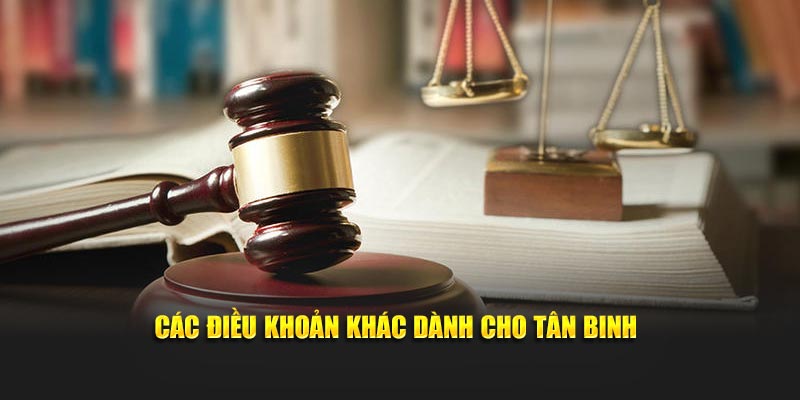 Các điều khoản khác dành cho tân binh