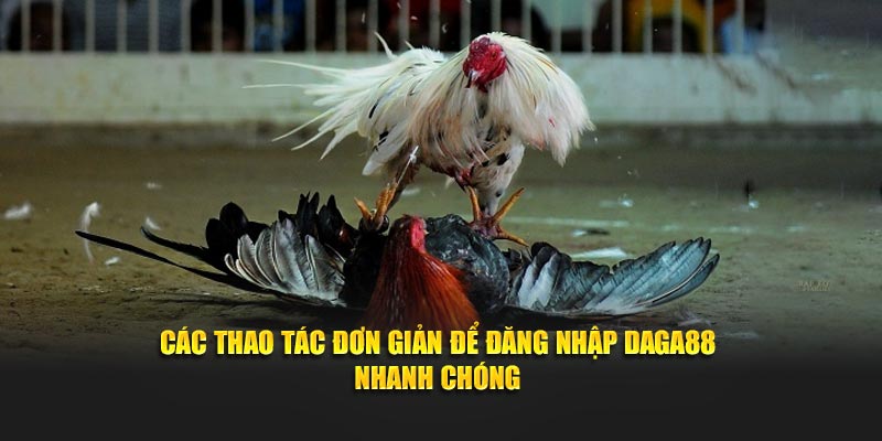 Các thao tác đơn giản để đăng nhập Daga88 nhanh chóng