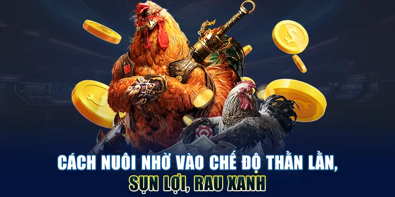 Cách nuôi nhờ vào chế độ ăn uống đủ chất