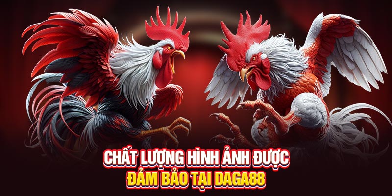 Chất lượng hình ảnh được đảm bảo tại Daga88