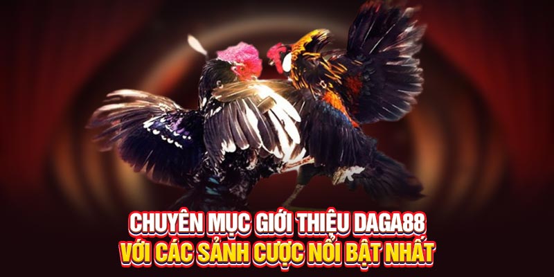 Chuyên mục Giới thiệu Daga88 với các sảnh cược nổi bật nhất