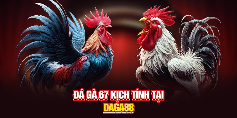 Đá gà 67 kịch tính tại trường gà Daga88