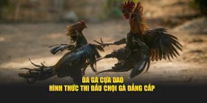 Hình thức thi đấu đá gà cựa dao tại Daga88