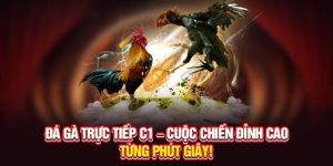 Đá gà trực tiếp C1 cuộc chiến đỉnh cao tại Daga88
