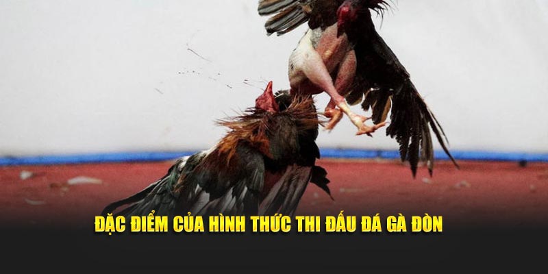 Đặc điểm của hình thức thi đấu đá gà đòn