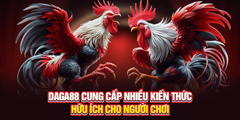 Daga88 cung cấp nhiều kiến thức cho người chơi