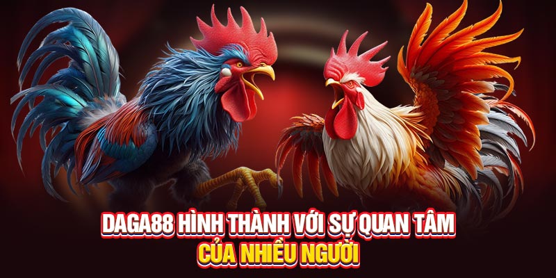 Daga88 hình thành với sự quan tâm từ người chơi