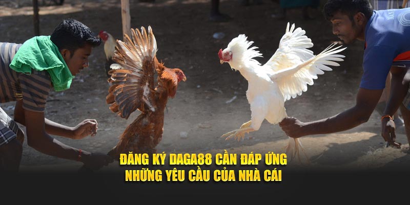 Đăng ký Daga88 cần đáp ứng những yêu cầu của nhà cái