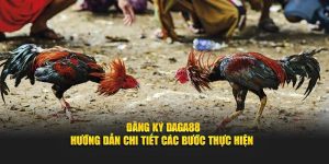 Đăng Ký Daga88 - Hướng Dẫn Chi Tiết Các Bước Thực Hiện