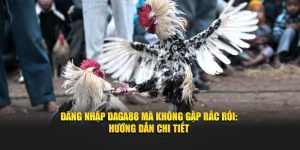 Đăng Nhập Daga88 - Hướng Dẫn Chi Tiết