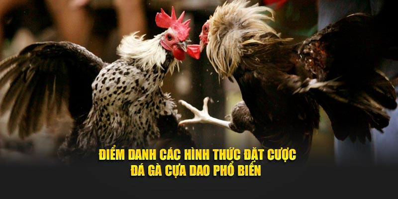 Điểm danh các hình thức đặt cược tại Daga88