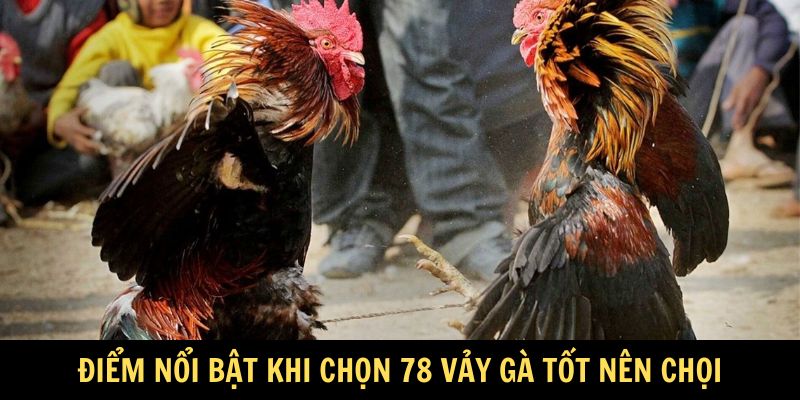 Ưu điểm nổi bật về 78 vảy gà tốt nên chọi