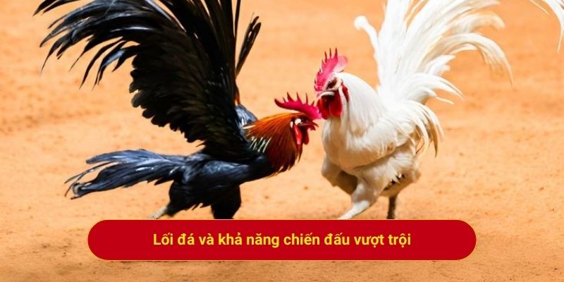 Lối đá và khả năng chiến đấu vượt trội