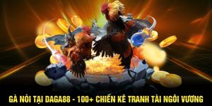 TÌm hiểu về giống gà nòi tại Daga88
