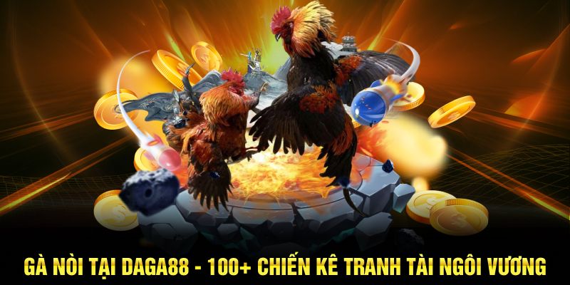 TÌm hiểu về giống gà nòi tại Daga88