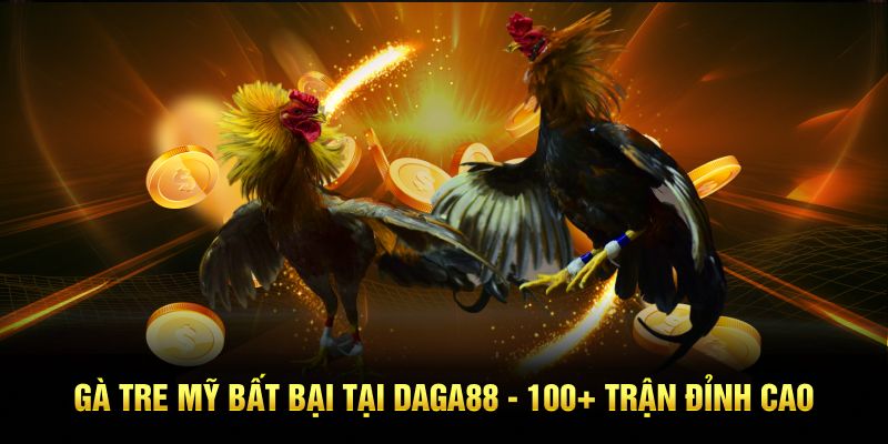 Nhập cuộc Daga88 chơi gà tre Mỹ với 3 phút