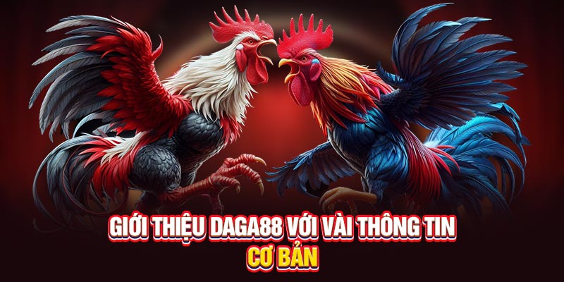 Giới thiệu Daga88 với vài thông tin cơ bản