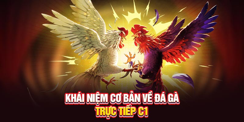 Khái niệm cơ bản về Đá gà trực tiếp C1 là gì