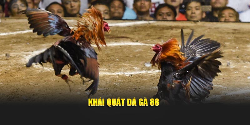 Khái quát đá gà 88