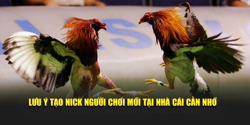 Lưu ý tạo nick người chơi mới tại nhà cái cần nhớ