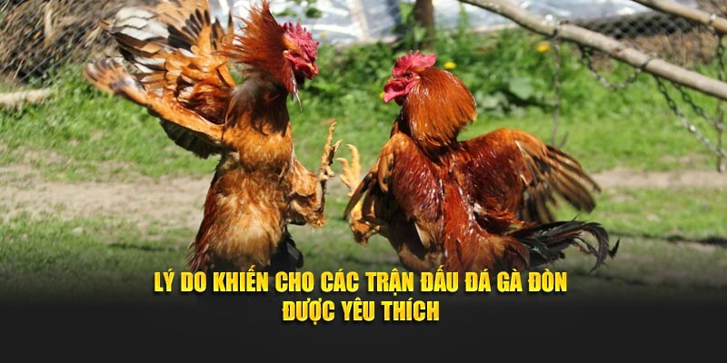 Lý do khiến cho các trận đấu tại Daga88 thu hút