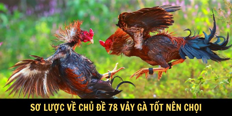 Sơ lược về chủ đề 78 vảy gà tốt nên chọi