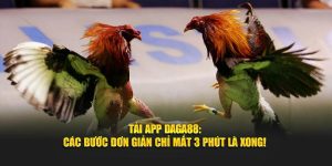 Tải App Daga88 - Các Bước Đơn Giản Chỉ Mất 3 Phút