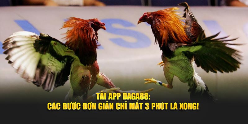 Tải App Daga88 - Các Bước Đơn Giản Chỉ Mất 3 Phút