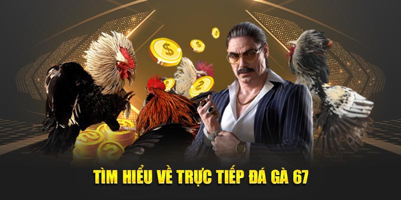 Tìm hiểu về trực tiếp đá gà 67 tại daga88