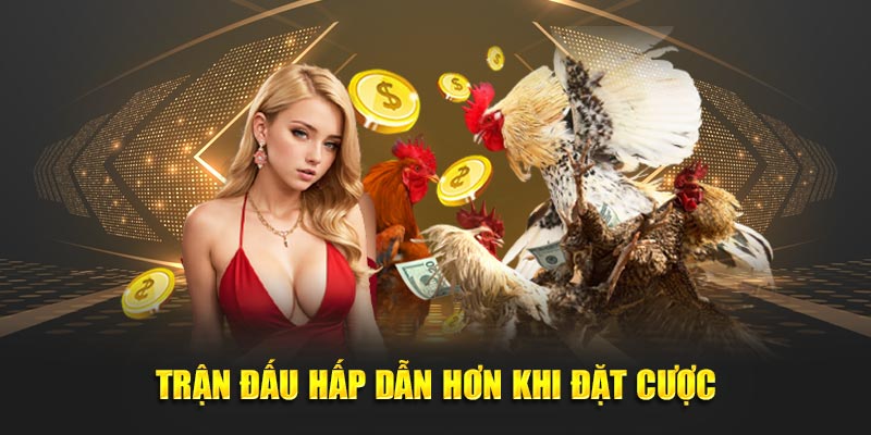 Trận đấu hấp dẫn hơn khi đặt cược Daga88