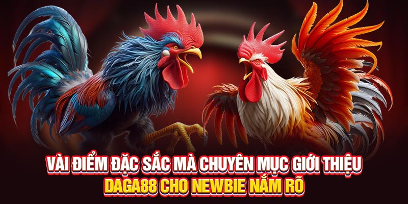 Vài điểm đặc sắc mà chuyên mục Giới thiệu Daga88 cho người mới nắm rõ