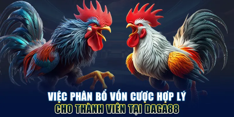 Việc phân bổ vốn cược hợp lý cho thành viên tại Daga88