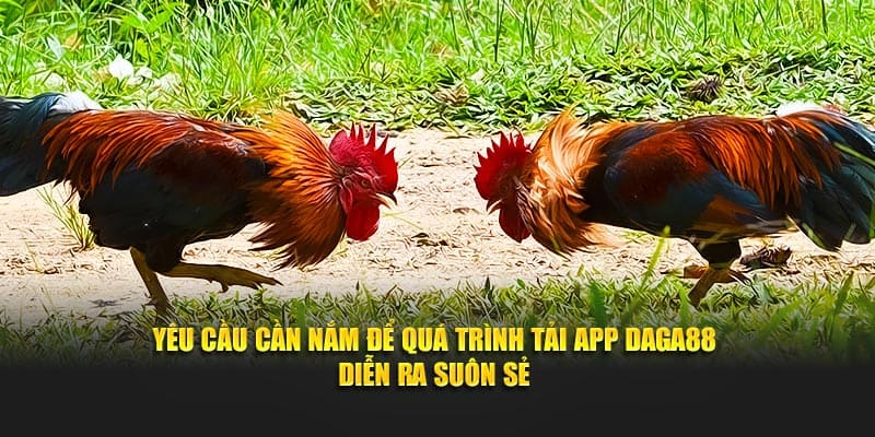 Yêu cầu cần nắm để quá trình tải app Daga88 diễn ra suôn sẻ