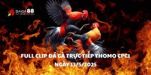 Full Clip Đá Gà Trực Tiếp Thomo CPC1 13-5-2025